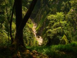 2013-07-20_Regina-F-Rau_Kochel-Rabenkopf (303).JPG